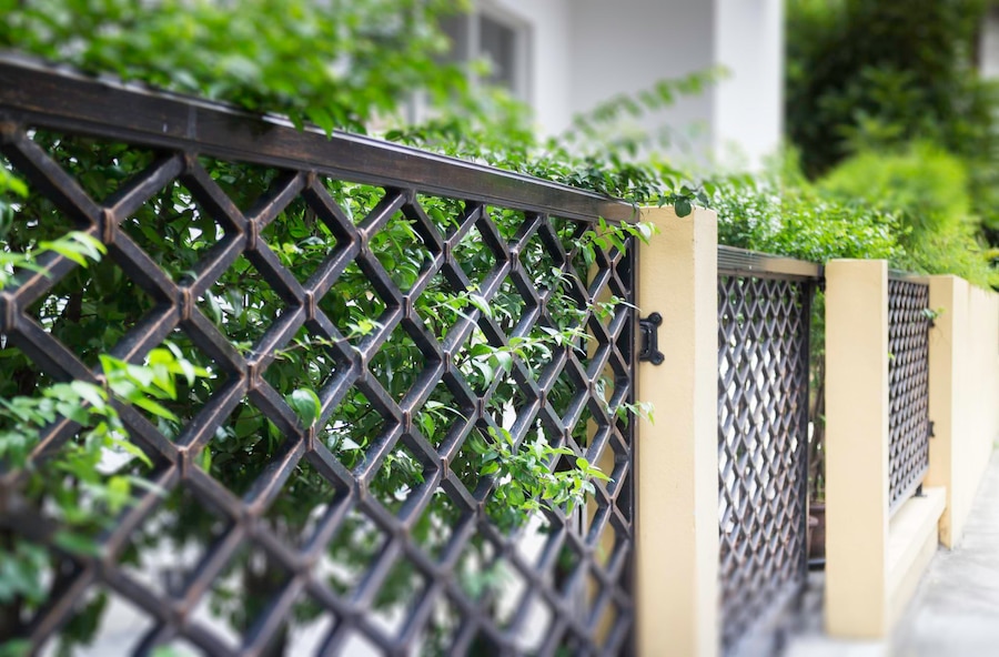 Fencing